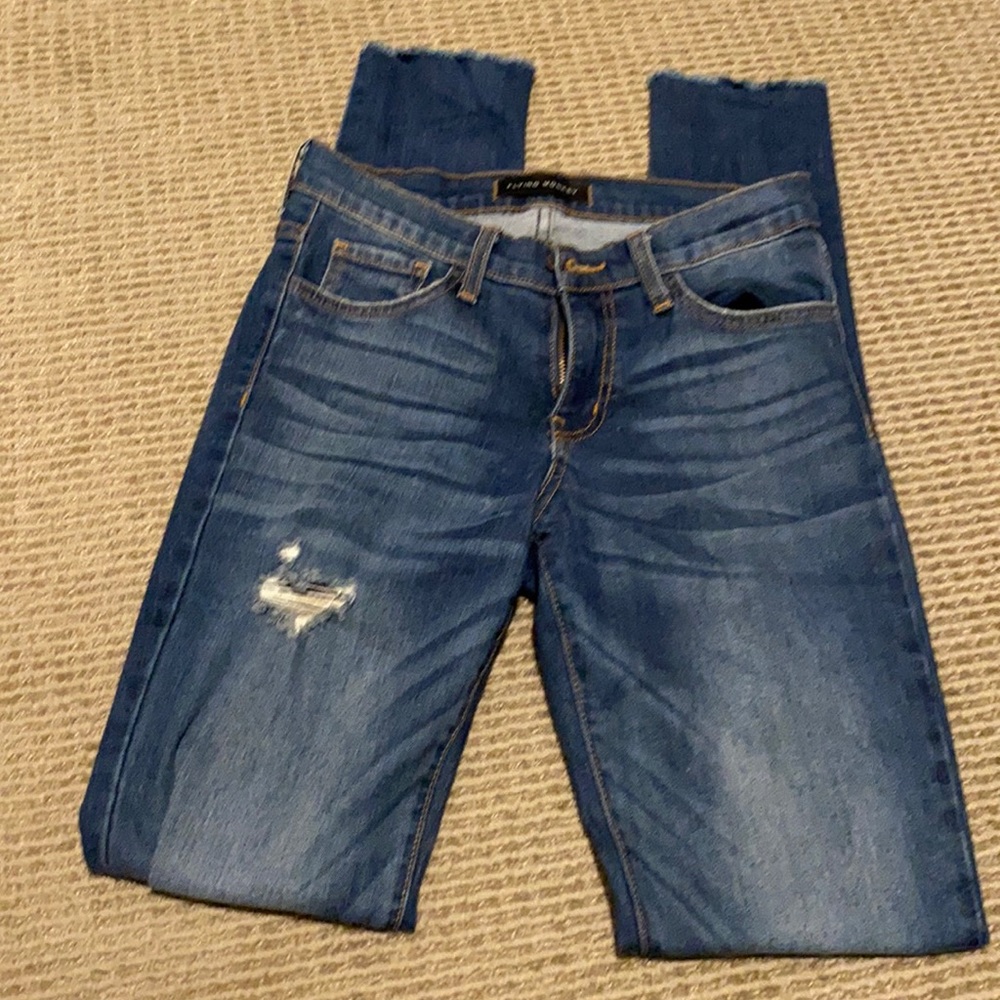 Flying Monkey 25 - image 1